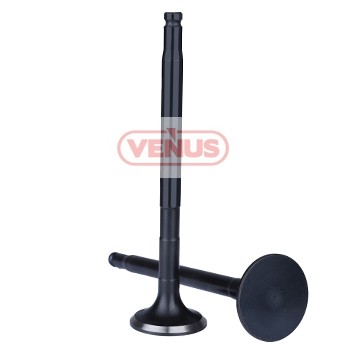 Engine_valve